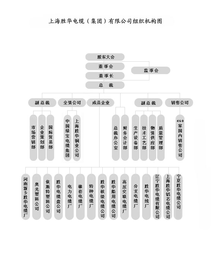 K一Sports电缆组织机构